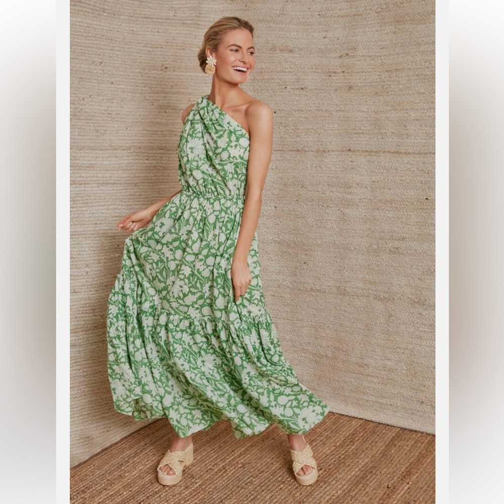 NWT Charina Sarte green tuckernuck botanical one shoulder maxi dress